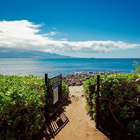 Stunning Maui Direct Ocean Front On The Beach, Walk To Beach From Condo, Watch Turtles, Whales, Ac In All Rooms Ocean View Pool And Spa Wailuku Luaran gambar