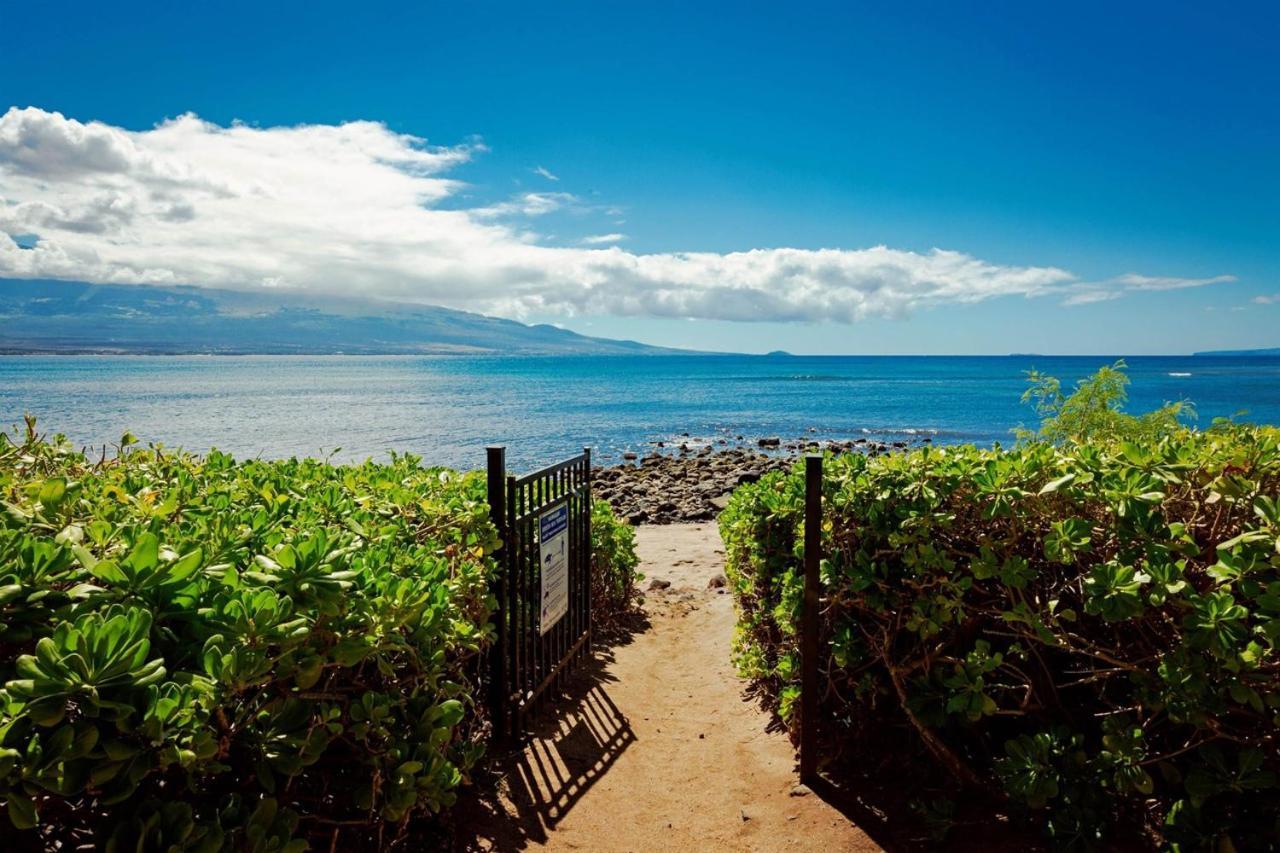 Stunning Maui Direct Ocean Front On The Beach, Walk To Beach From Condo, Watch Turtles, Whales, Ac In All Rooms Ocean View Pool And Spa Wailuku Luaran gambar